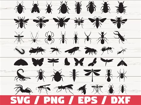 Download Free Insects Silhouettes SVG Bundle Commercial Use